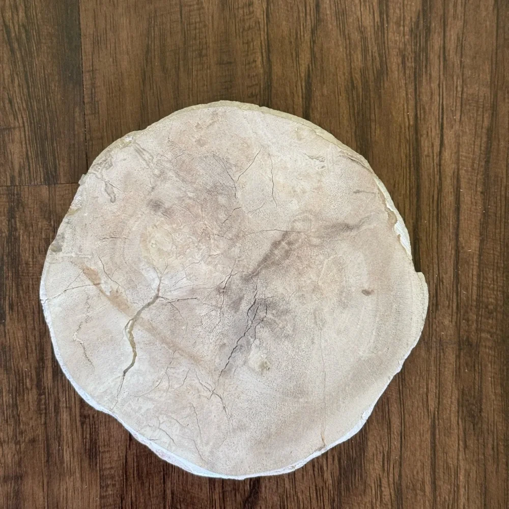 West Elm Petrified coasters set of 4